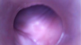 PJGIRLS Silvia DeLuxe sticks camera inside her vagina RAW pussy cam footage